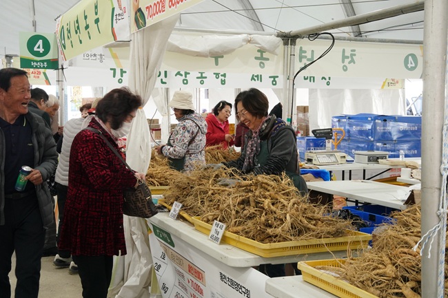 ▲ '제23회 홍천 인삼·한우 명품축제'와 '제10회 홍천사과축제' 모습. ⓒ홍천문화재단
