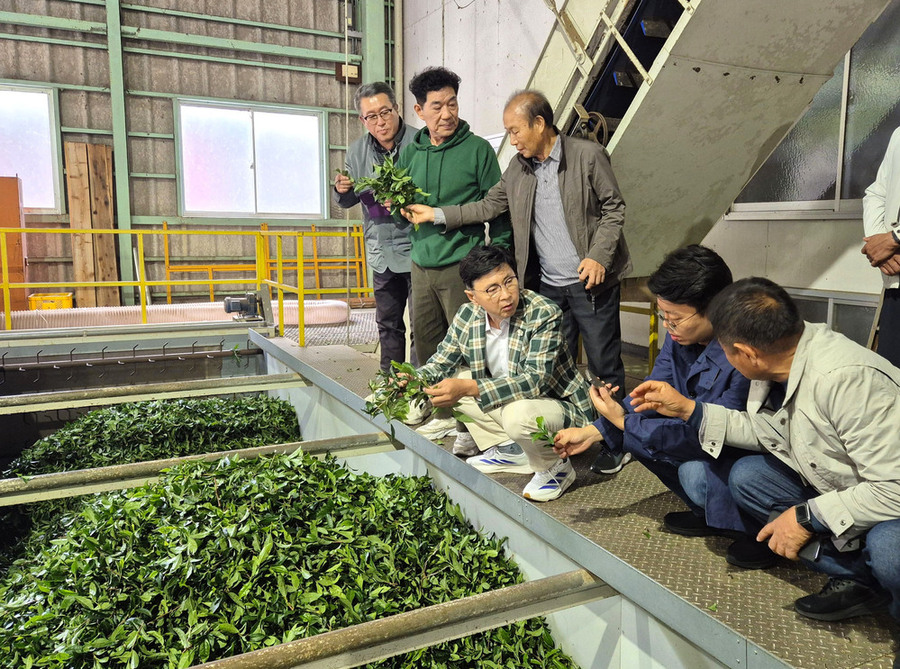 ▲ 보성군, 일본 시즈오카 벤치마킹 통해 ‘K-TEA 보성말차’ 글로벌 성장 시동_ 시즈오카현립 차업연구센터에서 스마트 가공·품질 관리 시스템을 확인하고 있다.ⓒ보성군 제공