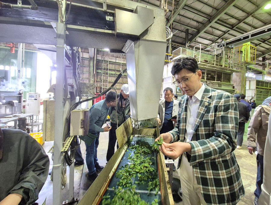 ▲ 보성군, 일본 시즈오카 벤치마킹 통해 ‘K-TEA 보성말차’ 글로벌 성장 시동_ 시즈오카현립 차업연구센터에서 스마트 가공·품질 관리 시스템을 확인하고 있다.ⓒ보성군 제공