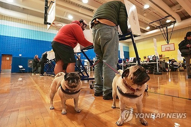 ▲ 투표하는 뉴욕 시민들. AP=연합뉴스. 251105 ⓒ연합뉴스
