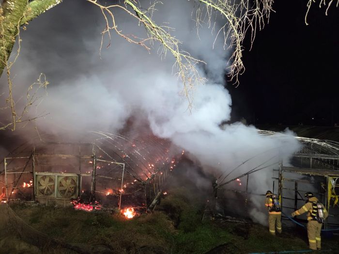 ▲ 5일 오후 11시 9분쯤 세종시 소정면 소정리의 한 양계장에서 불이 나 소방대원들이 진화작업을 하고 있다.ⓒ세종소방본부