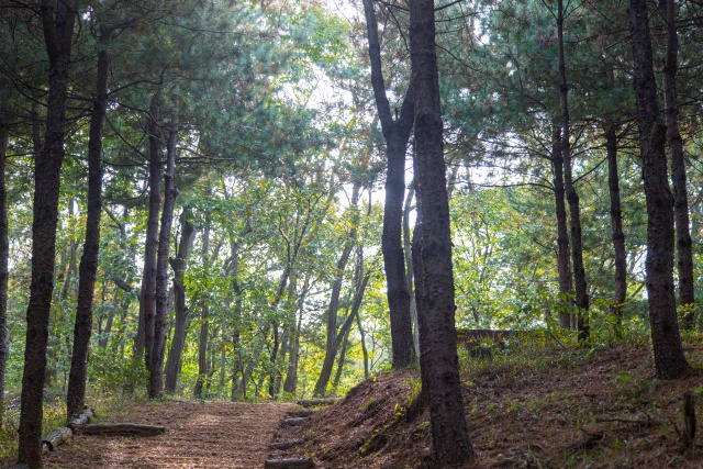 ▲ 주민이 함께 만든 ‘의정부 자일산림욕장’ ⓒ경기관광공사 제공