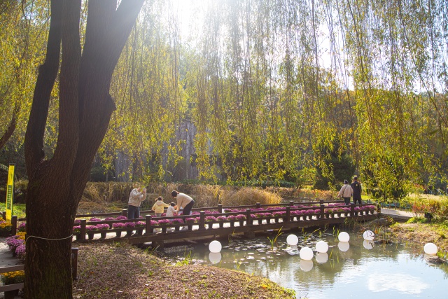 ▲ 작은 도시 속의 숲 ‘부천 무릉도원수목원’ ⓒ경기관광공사 제공