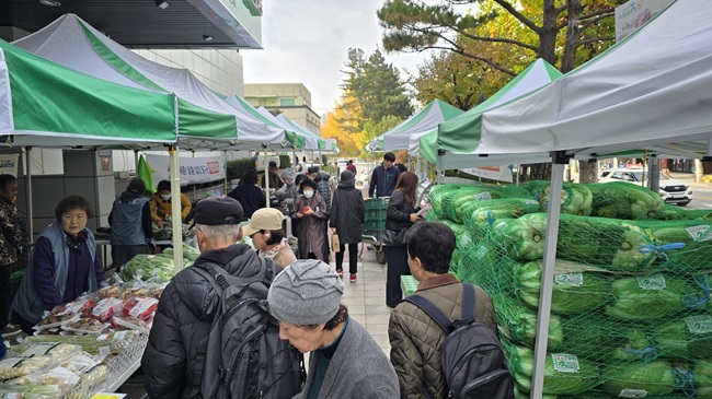 ▲ '2025년 강원농협 로컬푸드 목요장터 김장시장' 모습. ⓒ농협강원본부