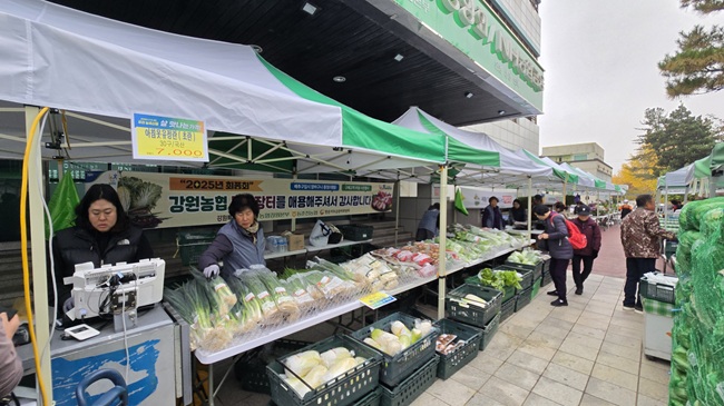 ▲ '2025년 강원농협 로컬푸드 목요장터 김장시장' 모습. ⓒ농협강원본부