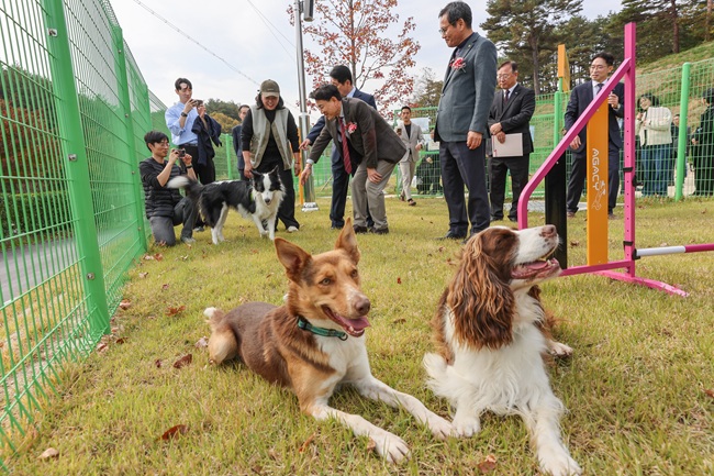 ▲ 강원특별자치도가 6일 강릉시 사천면에 도내 최초 공공 반려복지문화시설인 '강원특별자치도 반려동물지원센터' 개관식을 개최했다. ⓒ강원특별자치도
