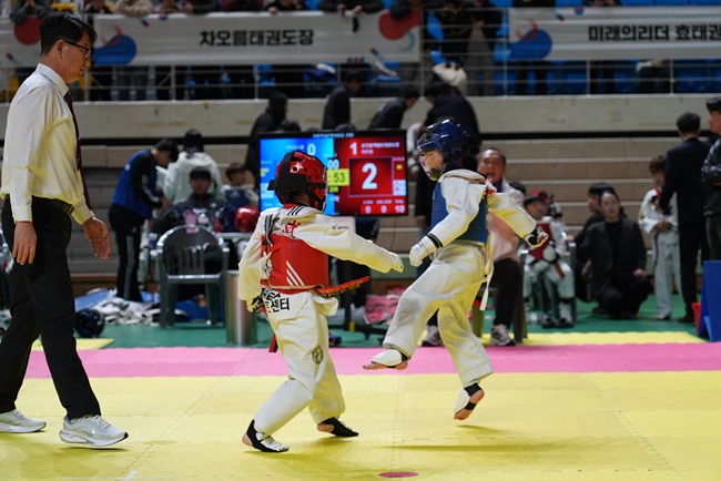 ▲ 제24회 춘천시장기 태권도대회가 8일 호반체육관에서 열렸다. ⓒ춘천시