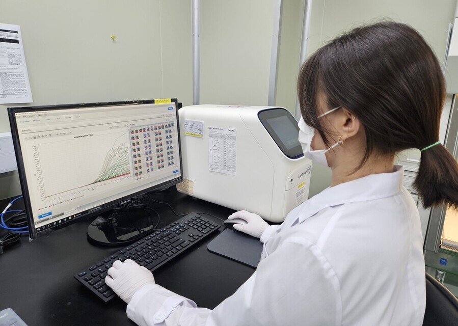 ▲ 인플루엔자(독감) 검사ⓒ전라남도 제공