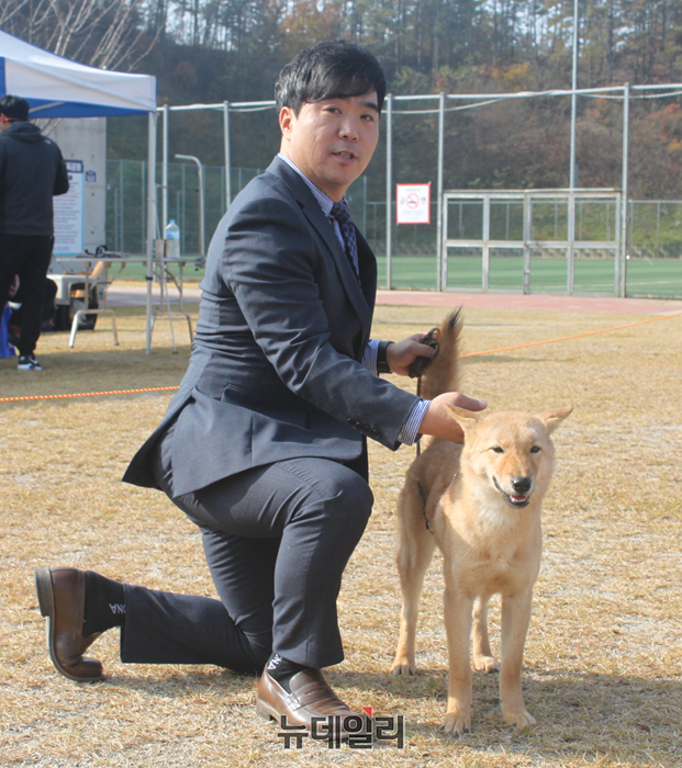 ▲ 위풍당당한 국견(國犬) 진돗개.ⓒ김정원 기자