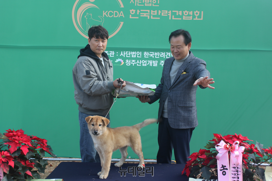 ▲ 이동우 춛북도의원이 9일 청주 가덕체육공원에서 열린 ‘한국 반려견 페스티벌 KCDA 진돗개 스페셜 티 쇼’에서 특별상을 주고 있다.ⓒ김정원 기자