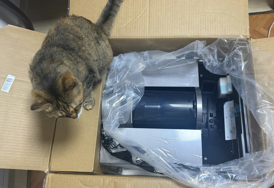 ▲ 체험 제품을 개봉할 때 고양이가 신기한 지 쳐다보는 모습. ⓒ김재홍 기자