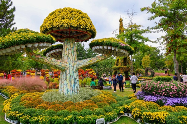 ▲ 지난 9일 ‘2025 유성국화축제’가 평일·주말을 가리지 않고 관람객 발길이 이어지며 성황리에 막을 내렸다.ⓒ유성구