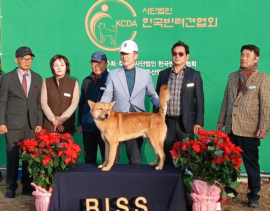 ▲ 수조 대상을 받은 성견 부문의 ‘남산’.ⓒ한국반려견협회