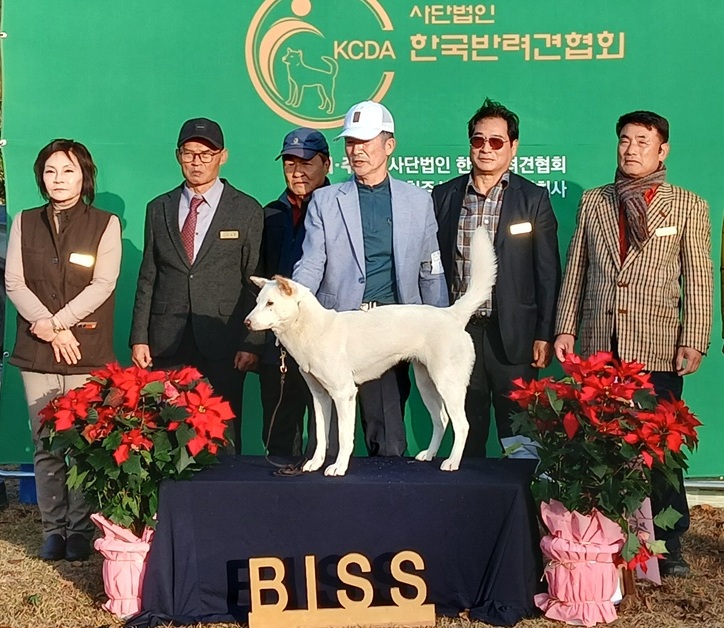 ▲ 암조 대상을 받은 미성견 부문의 ‘백희’.ⓒ한국반려견협회