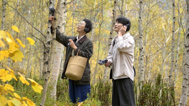 ▲ 2025년 태백형 웰니스 사운드 워킹 프로그램 운영 모습. ⓒ태백시