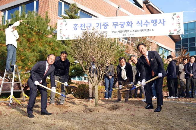▲ 신영재 홍천군수가 11일 '제11회 서울대학교 시스템면역의학연구소 국제학술대회'에서 개최된 무궁화 기념식수 행사에 참석했다. 이번에 식재된 무궁화는 홍천군에서 기증한 것으로 학술대회를 기념하고 연구소와 지역이 상호 협력하며 함께 성장해 나가겠다는 뜻을 담고 있다. ⓒ홍천군