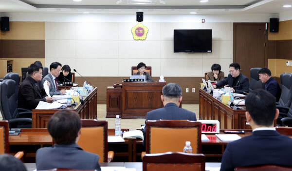 ▲ 인천시의회 행정안전위원회가 11일 열린 ‘인천시 천원행복기금 설치 및 운용 조례(안)’심의에서 질의하고 있다. ⓒ 인천시의회 제공