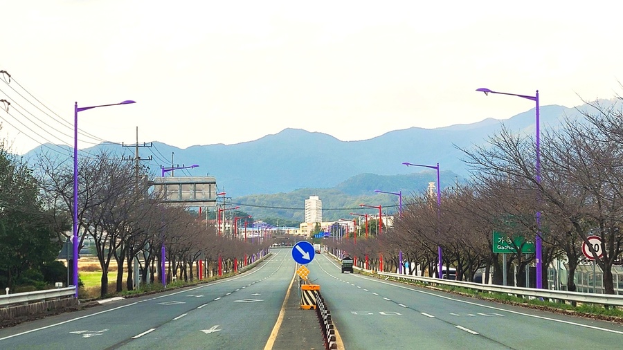 ▲ 청도군(군수 김하수)은 지난 6일 국지도 30호선 이서면 샛별교차로에서 각남면 각남회전교차로를 연결하는 길이 5.3km 구간의 이서로 가로등 설치사업을 완료했다.ⓒ청도군