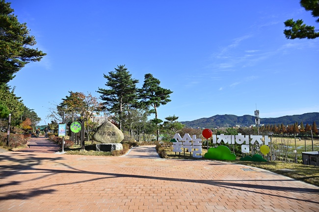 ▲ 속초 숲속 가족놀이 체험장 모습. ⓒ속초시