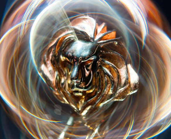 ▲ ⓒ칸라이언즈