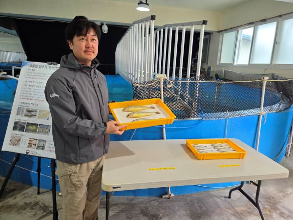 ▲ 유용운 국립수산과학원 아열대수산연구소 박사가 양식조기를 들어보이고 있다. ⓒ뉴데일리