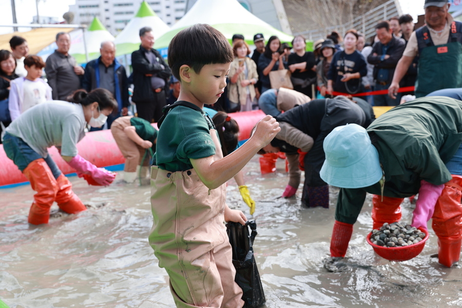 ▲ 보성군, 제21회 벌교꼬막축제로 여러분을 초대합니다_벌교꼬막 잡기 체험ⓒ보성군 제공