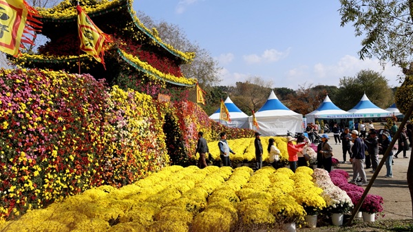 ▲ 제22회 백제고도부여국화축제 성황리 폐막했다.ⓒ부여군