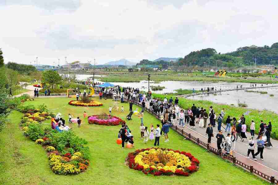 ▲ 올해 장성 황룡강 가을꽃축제가 방문객 40만여 명을 기록하며 성황리에 막을 내렸다.ⓒ장성군 제공