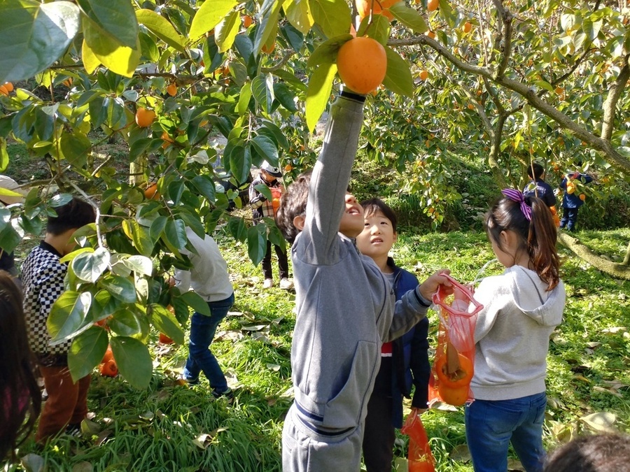 ▲ 농촌체험휴양마을_곡성 가정마을ⓒ전라남도 제공