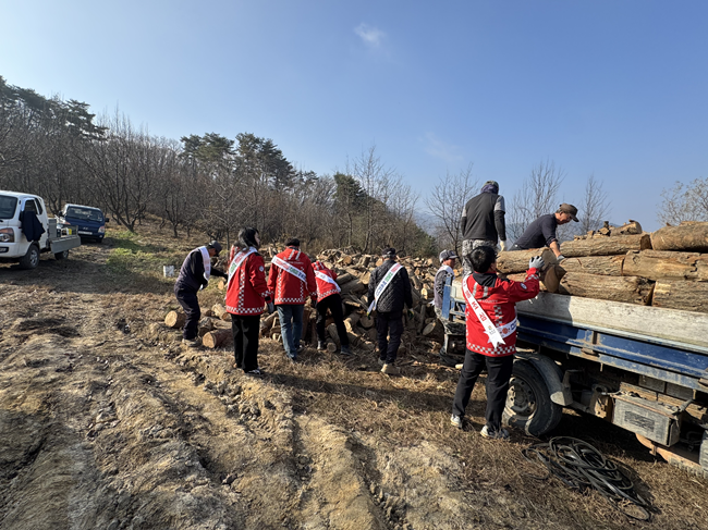 ▲ 철원군이 지난 13일 갈말읍 문혜리 일원에서 숲가꾸기 산물 활용 땔감 나누기 행사를 가졌다. ⓒ철원군