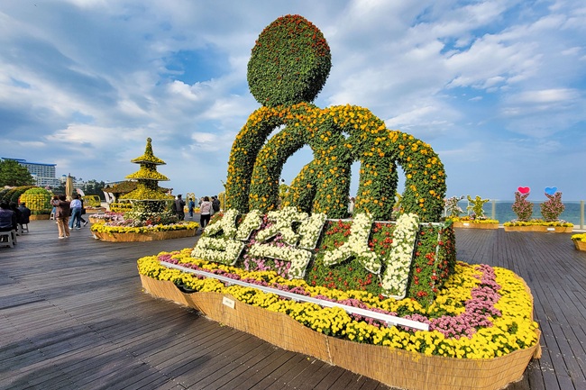 ▲ 제10회 삼척 국화 전시회. ⓒ삼척시