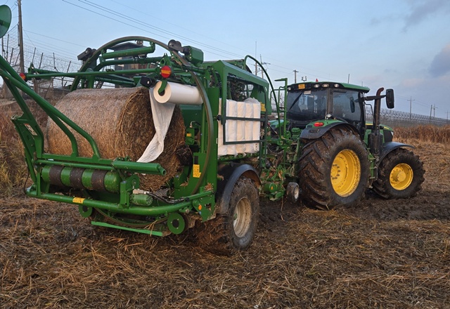 ▲ 한강하구 자생 갈대 수거 작업 모습. ⓒ경기도 제공