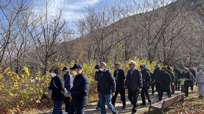 ▲ 산림휴양 프로그램에 참여중인 진폐피해자 어르신들. ⓒ강원랜드