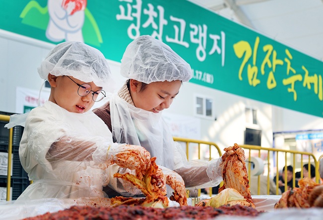 ▲ 축제 마지막날인 17일  강원도 평창군 진부면민체육공원에서  열리고 있는 평창고랭지김장축제를 찾은 어린이가 김장을 담그고 있다. 평창고랭지김장 축제위원회에 따르면 올해로 8회째를 맞는 이번  축제는 6만명의 방문객과 총 30억 원의 매출을 올림으로써  지역경제 활성화에 큰 몫을 담당했다. ⓒ평창군