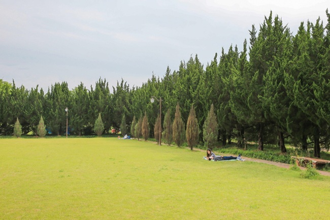 ▲ 매향정원 조성 예시. ⓒ강릉시