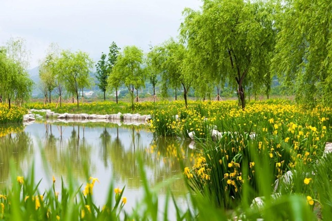 ▲ 창포원 조성 예시. ⓒ강릉시