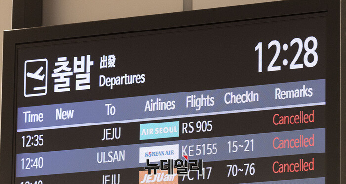 ▲ 통합 대한항공과 LCC 간 양극화가 더 커질 수 있다는 우려도 나온다. ⓒ뉴데일리DB