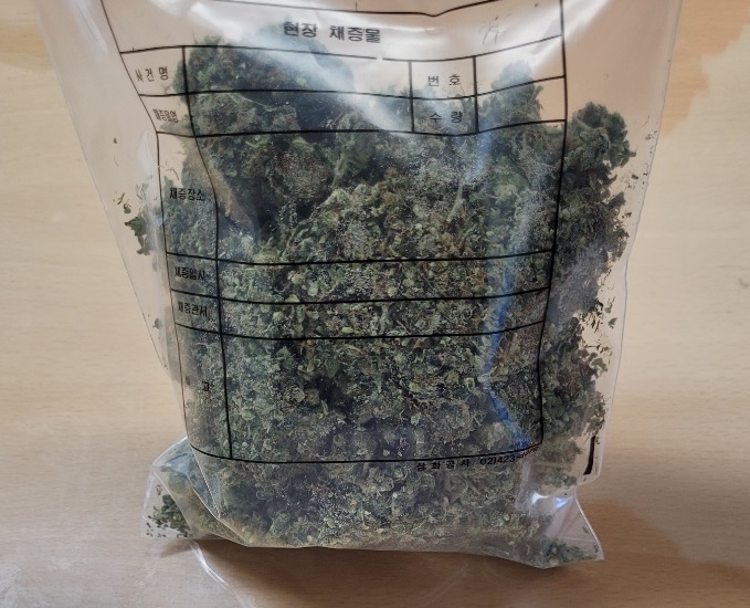 ▲ 경찰에 압수된 대마초.ⓒ충북경찰청