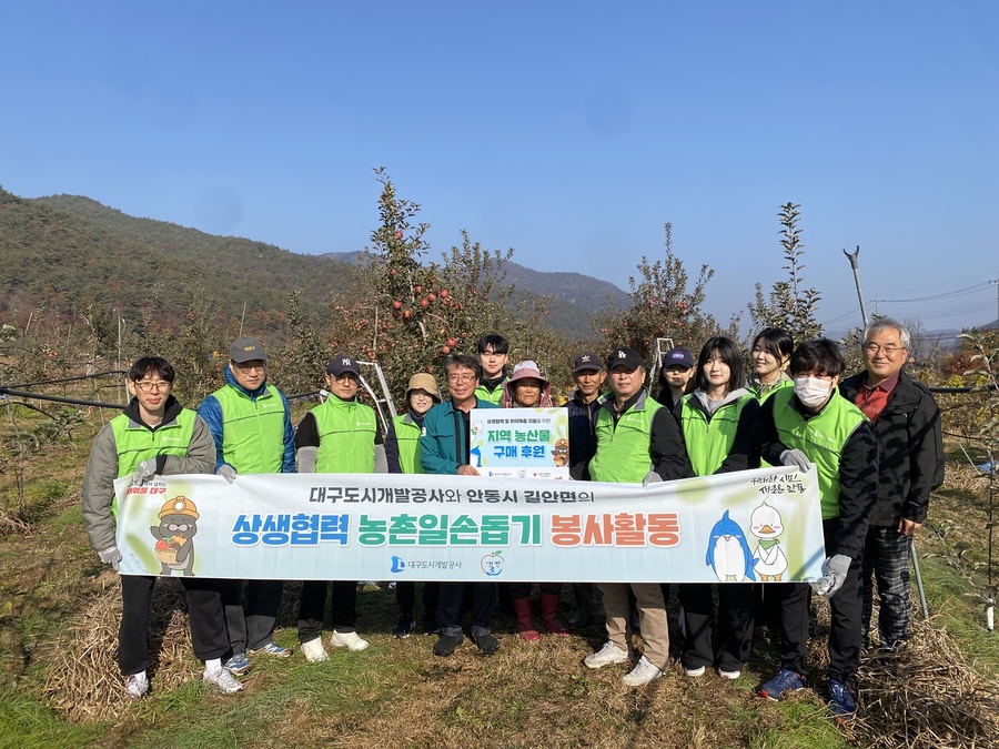 ▲ 대구도시개발공사(사장 직무대행 정명섭)는 지난 14일 안동시 길안면에서 수확철 농가의 인력 부족 해소와 지역 상생을 위해 사과 농가 일손돕기 봉사활동을 진행했다.ⓒ대구도시개발공사