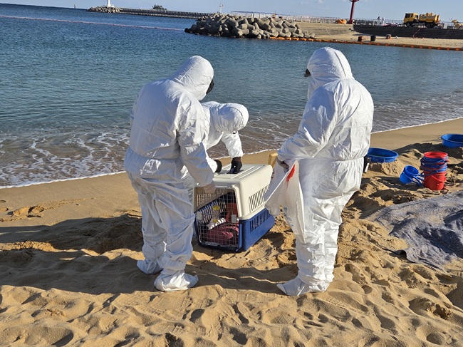 ▲ 2025년 속초시-속초해양경찰서 민·관 해안방제훈련 모습. ⓒ속초시