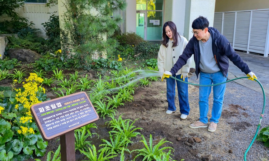 ▲ 금호석유화학그룹 임직원이 파초일엽을 관리하고 있다.ⓒ금호석유화학그룹