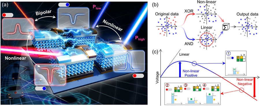 ▲ 비선형 및 양극성 광응답 메커니즘을 모놀리식 아키텍처 내에 통합한 듀얼 포토게이트 페로브스카이트 OELG 플랫폼의 개념도 등.ⓒ동국대