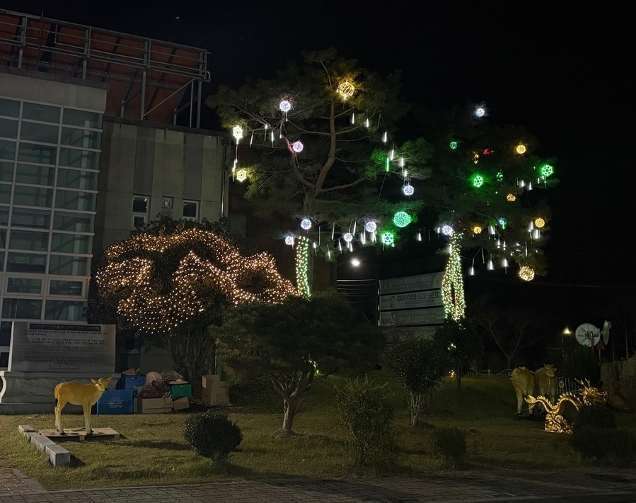 ▲ 함평군 나산면, 겨울빛축제 대비 마을곳곳 ‘겨울 빛에 물들다’_주민자치센터ⓒ함평군 제공