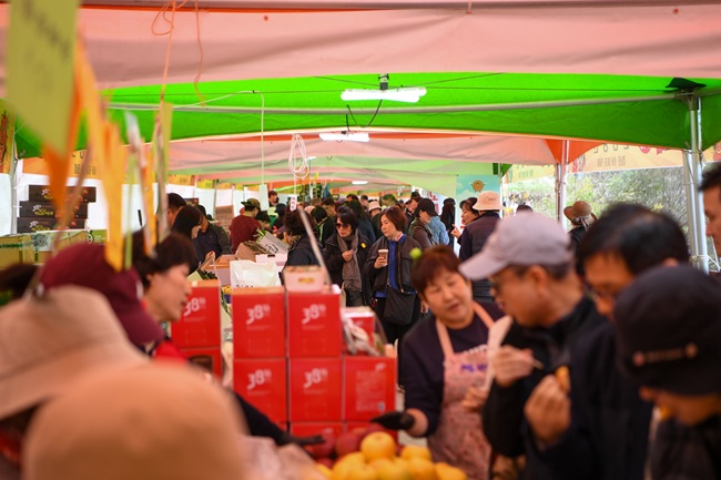 ▲ 사과축제 장면. ⓒ양구군