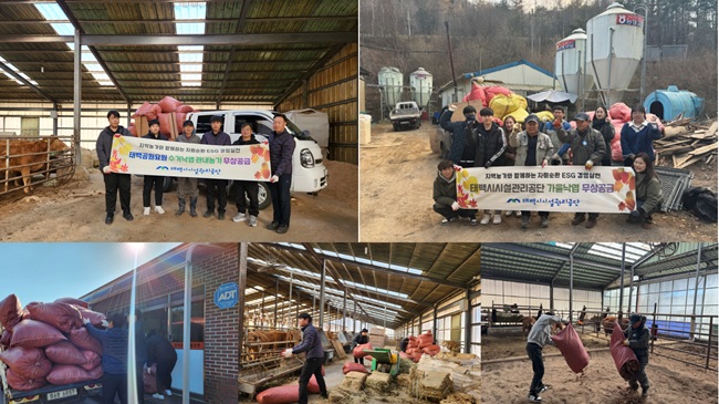 ▲ 태백시시설관리공단이 폐낙엽 자원순환 사업의 일환으로 지난 19일과 20일 관내 축산농가 2곳에 폐낙엽 200포를 1차로 기부했다. ⓒ태백시시설관리공단