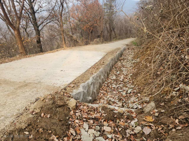 ▲ 산림 재해예방 정비사업이 완료된 처인구 모현읍 왕산리 일대의 태교숲길 모습. ⓒ용인시 제공