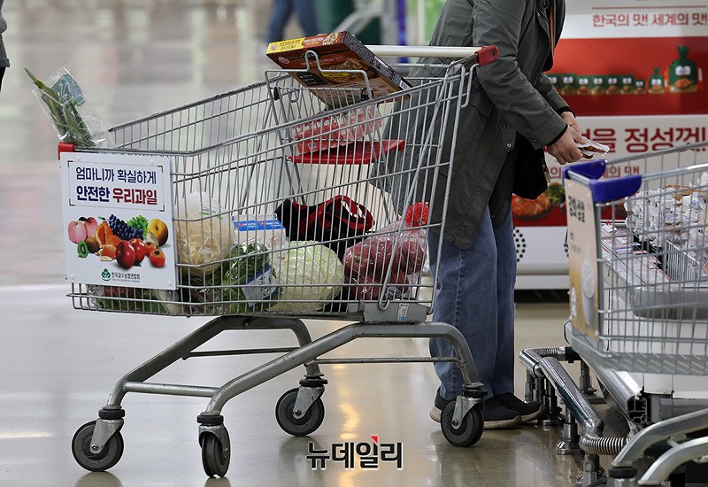 ▲ ⓒ뉴데일리DB