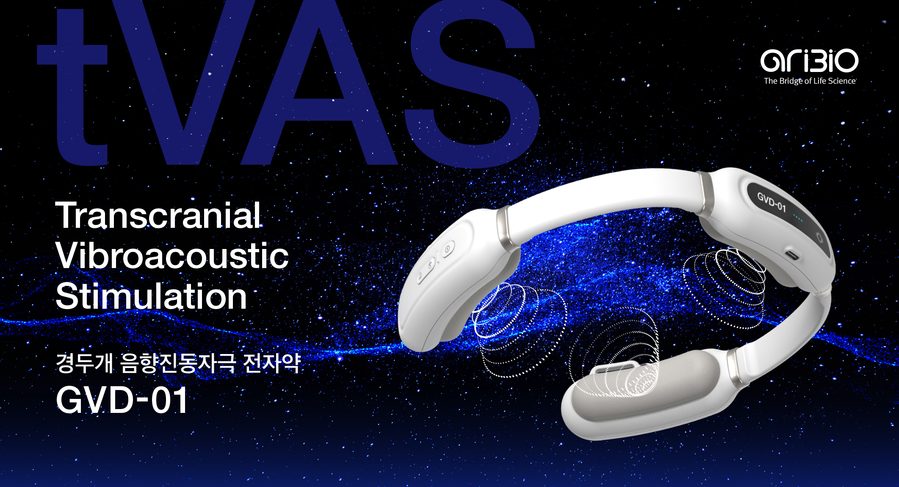 ▲ 아리바이오 경두개 음향진동자극(tVAS) 전자약 GVD-01 이미지.ⓒ아리바이오