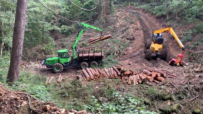 ▲ 목재수확지 전경(참고사진). ⓒ동부지방산림청