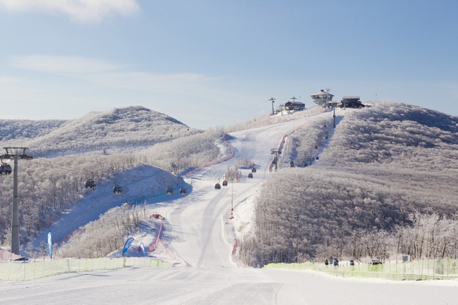 ▲ 스키장 전경. ⓒ강원랜드